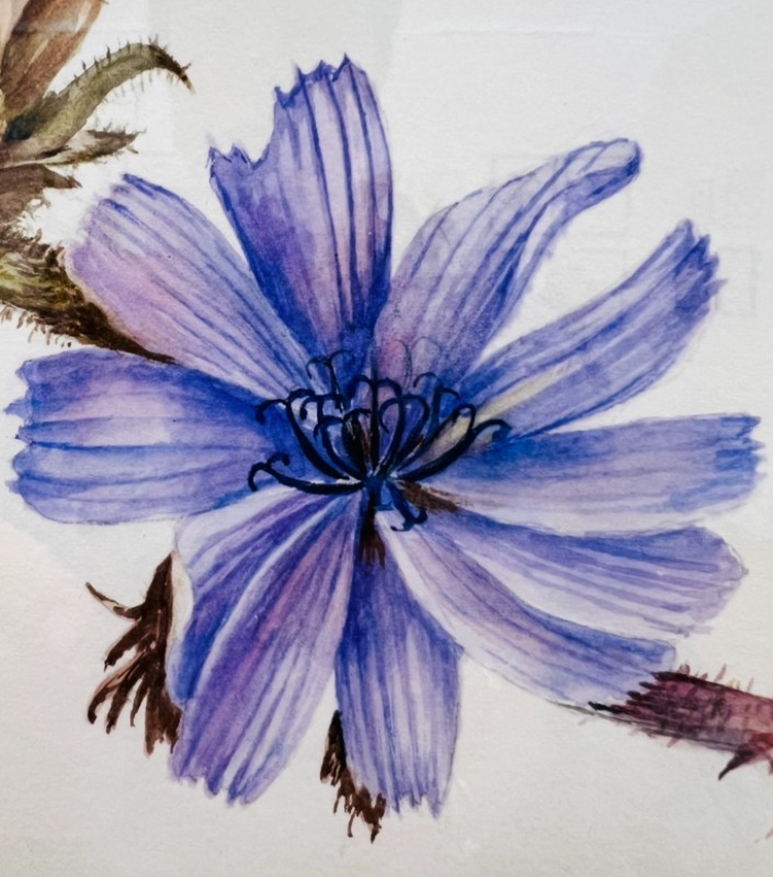 Анна Петровна